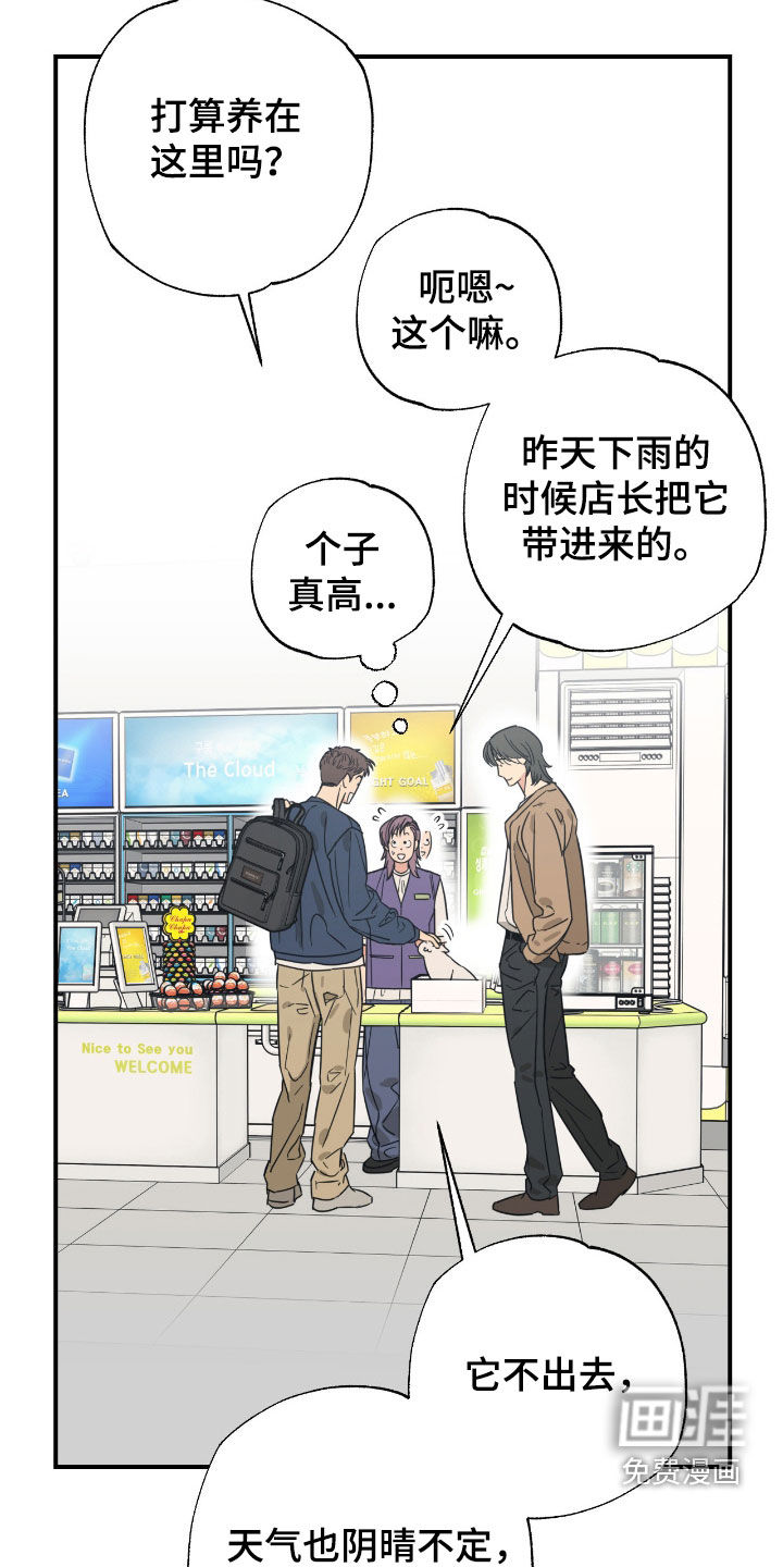 第36话13