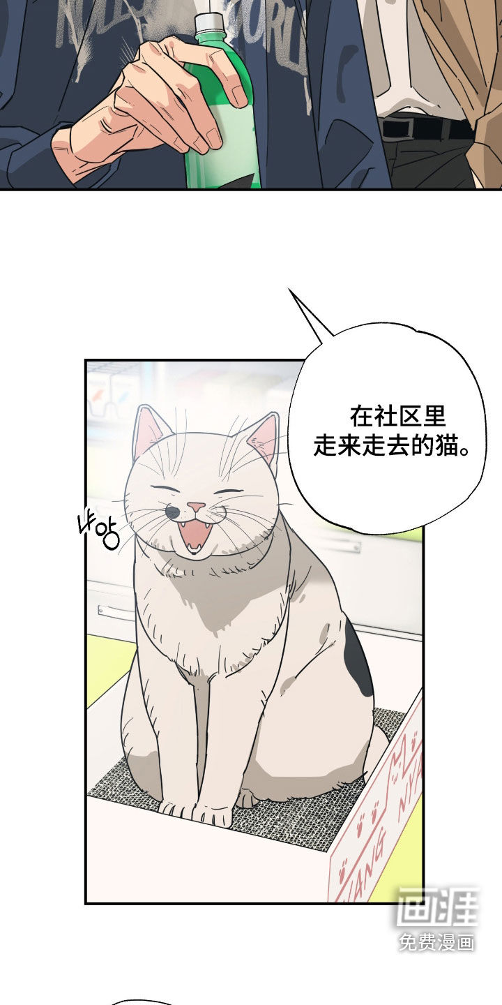 第36话12