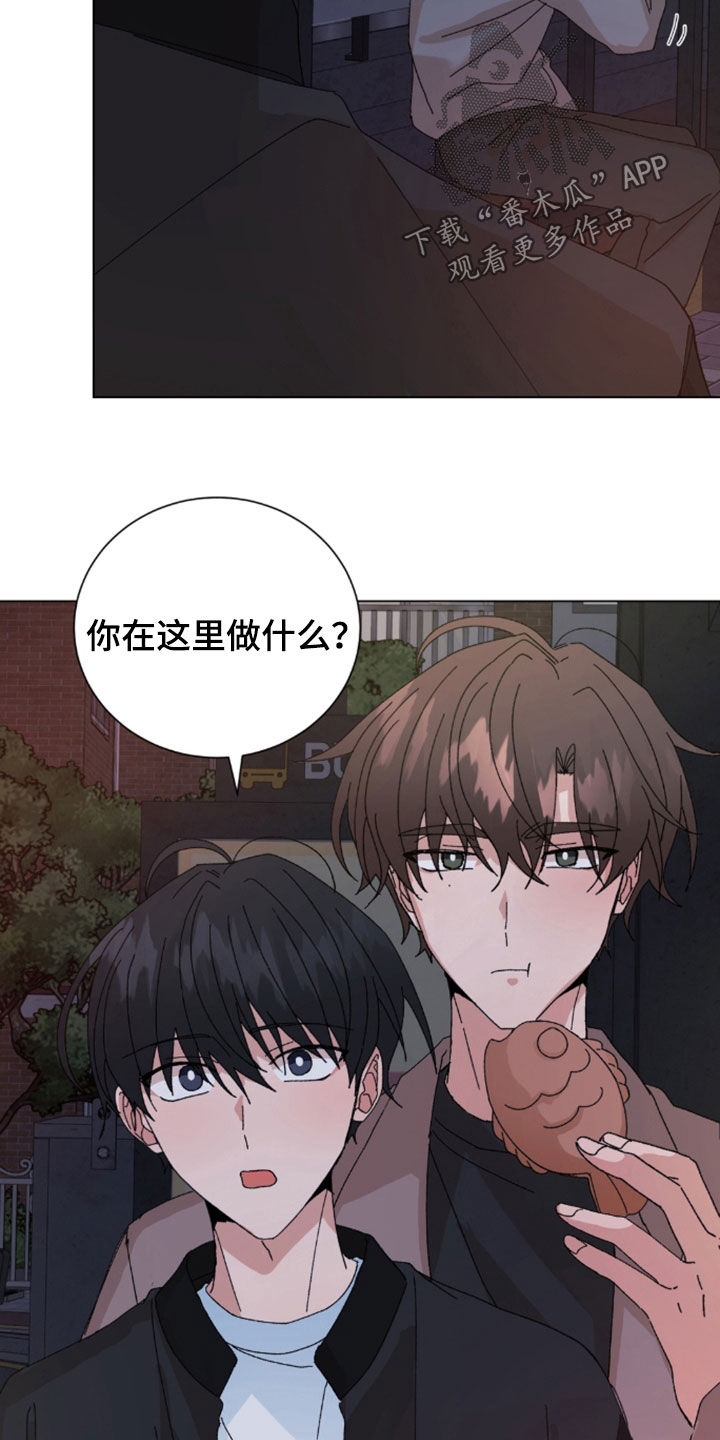 第120话13