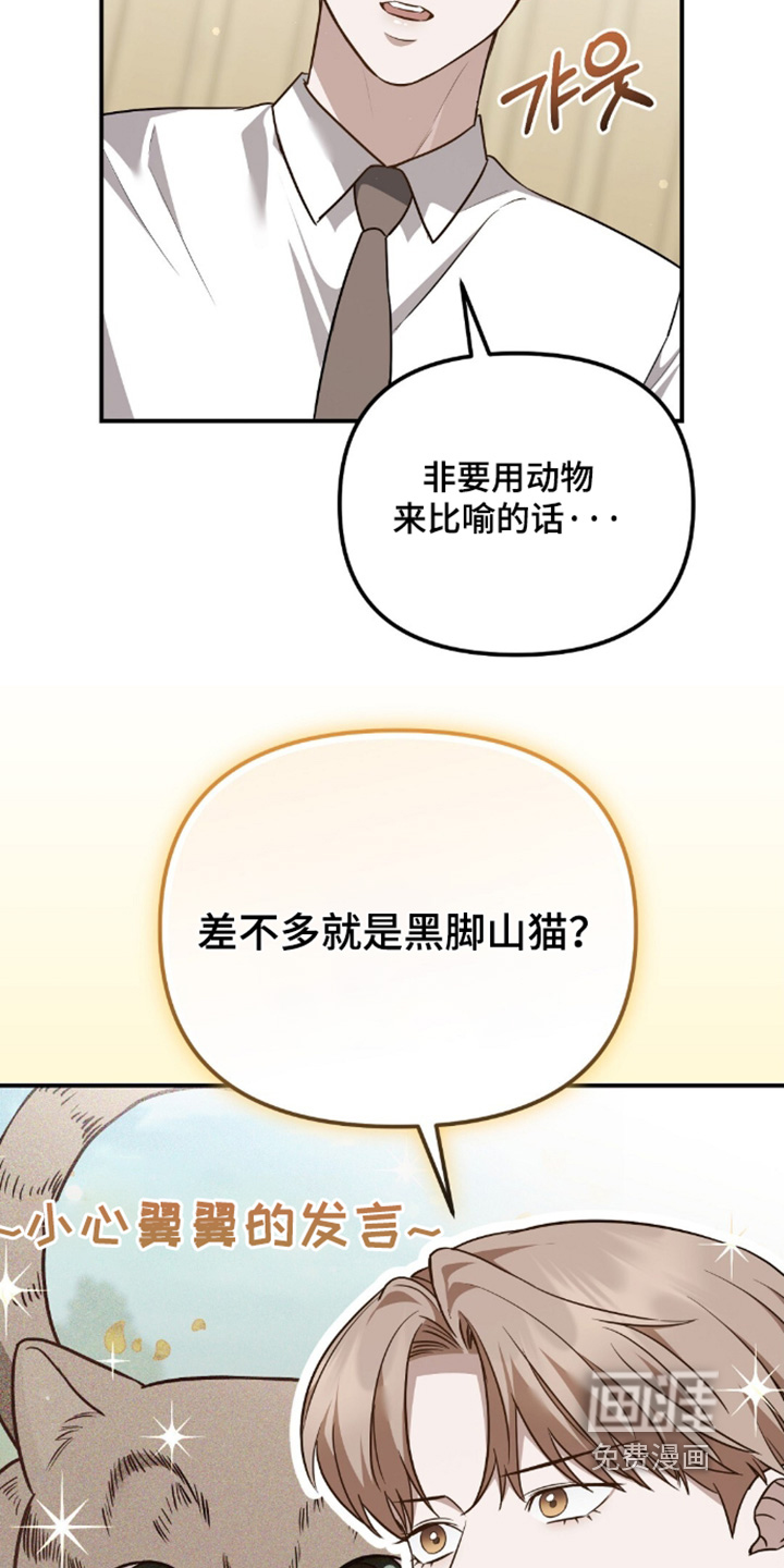 第95话18