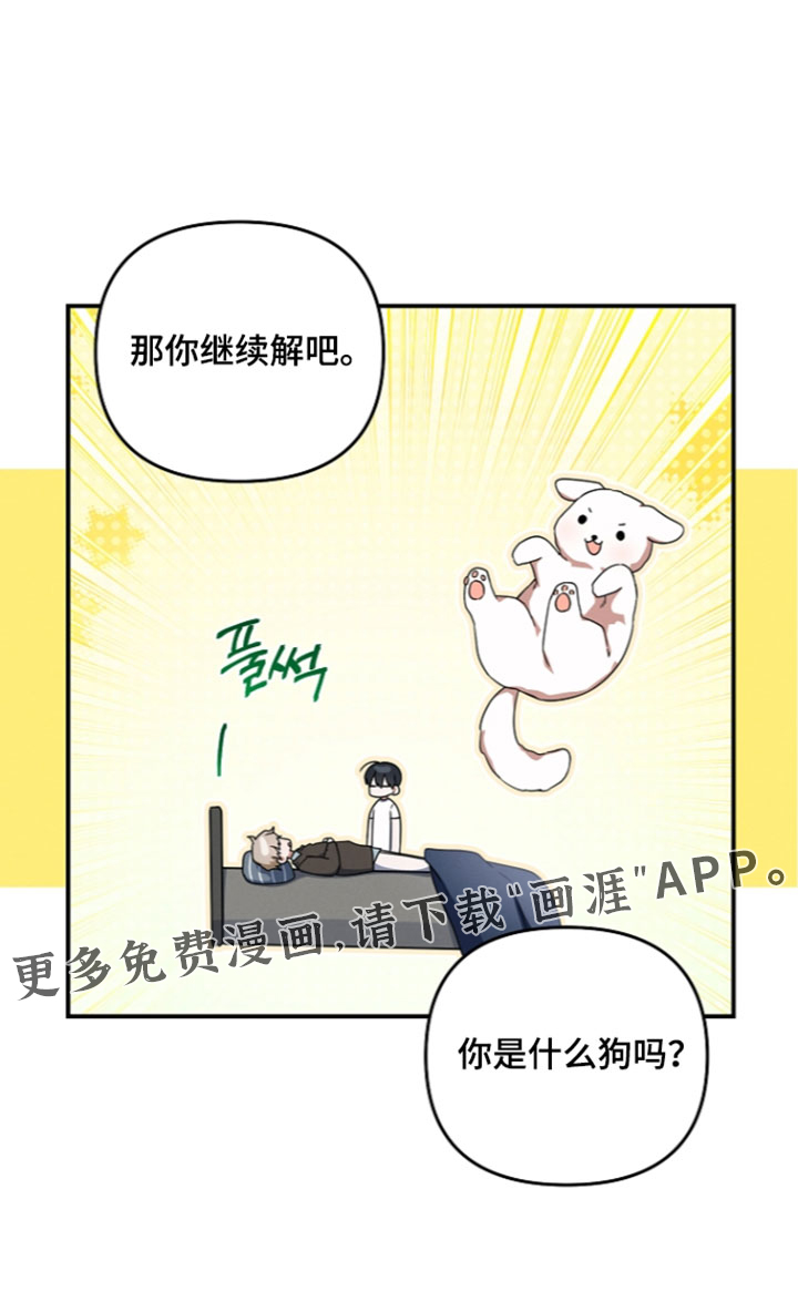 第116话35