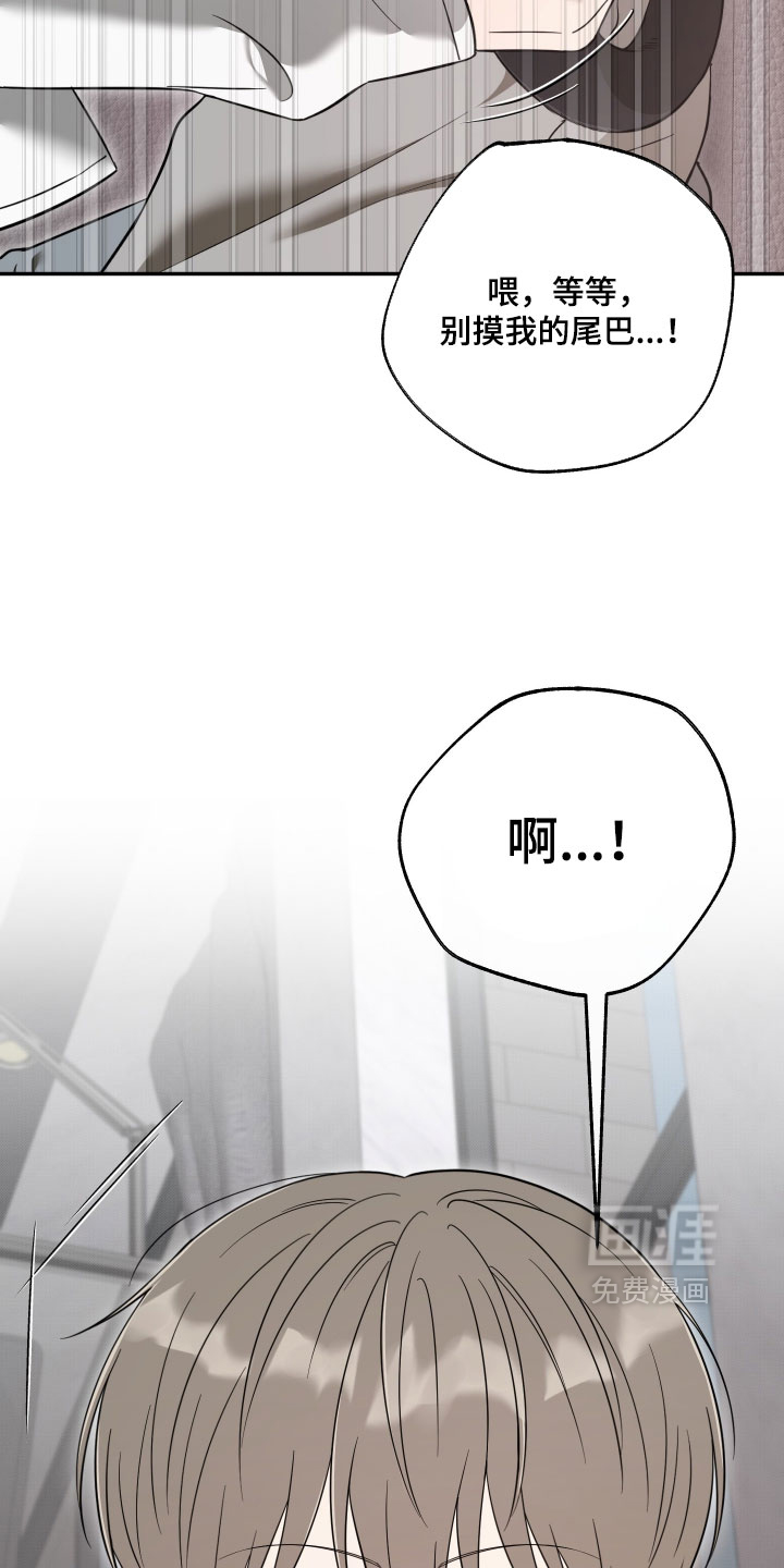 第62话1