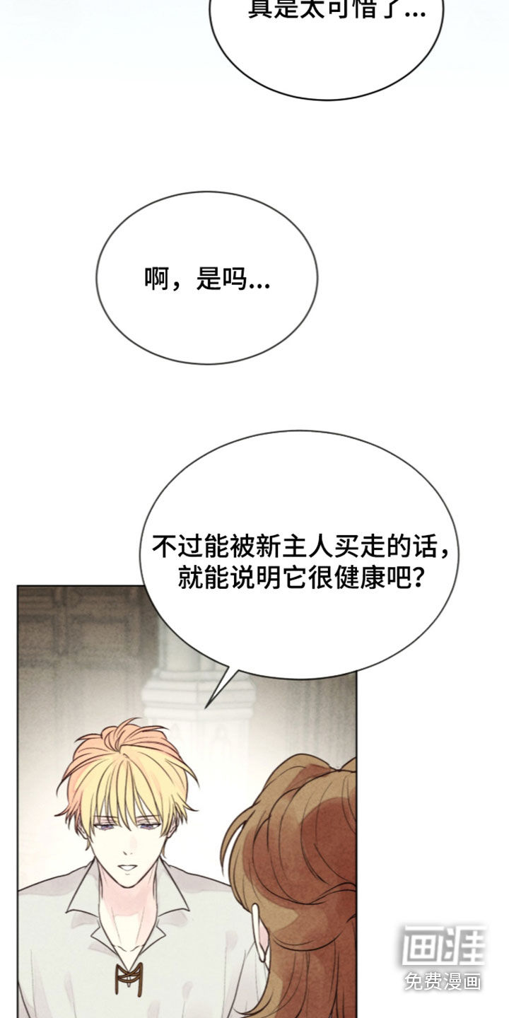 第50话24