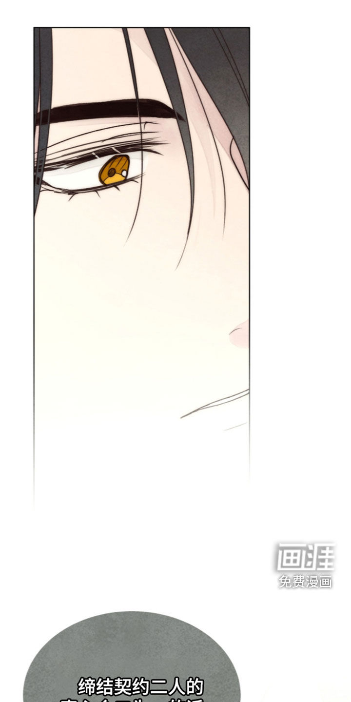 第46话30