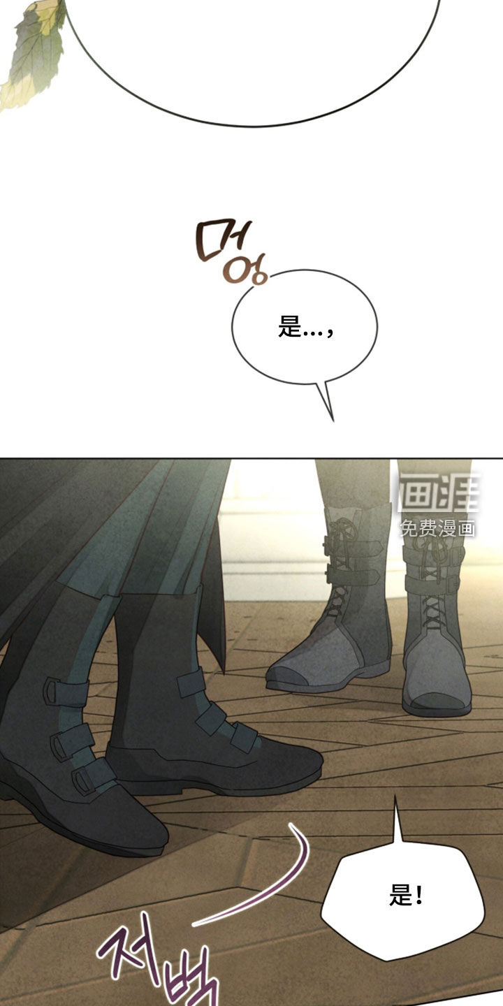 第43话17