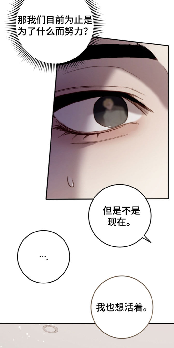 第117话13