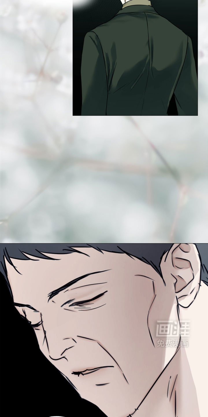 第148话14