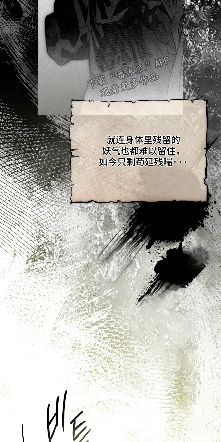 第117话19