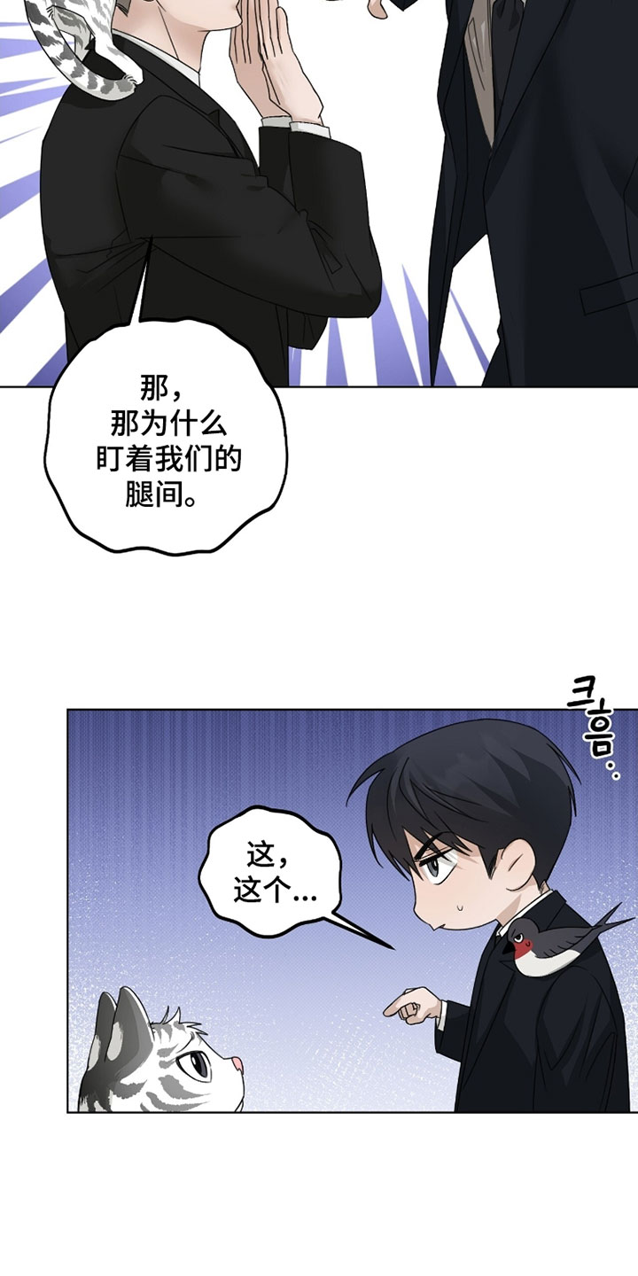 第100话7