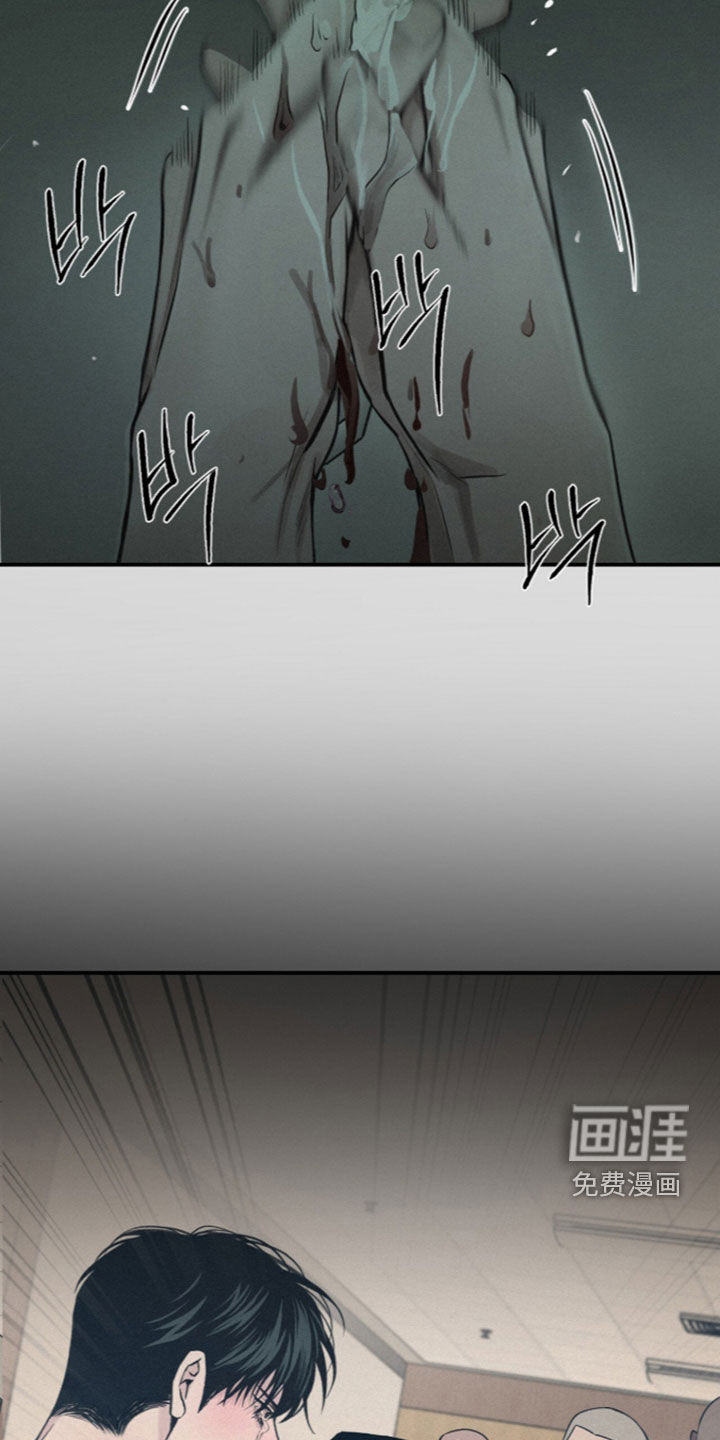 第115话11