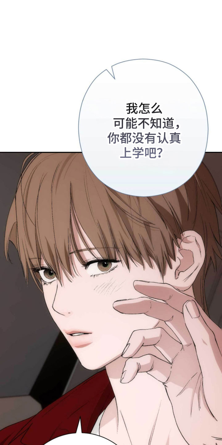 第110话13