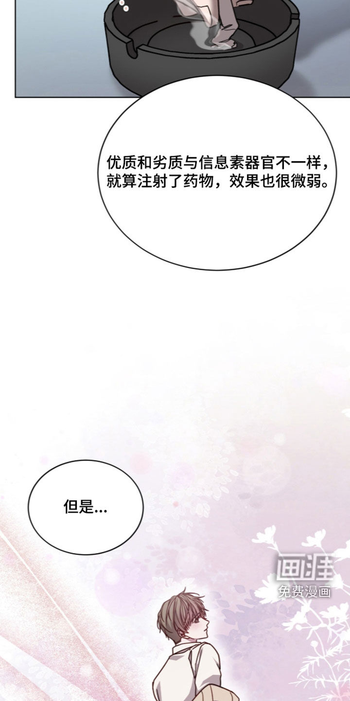 第43话19