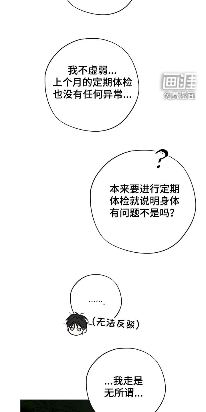 第33话11