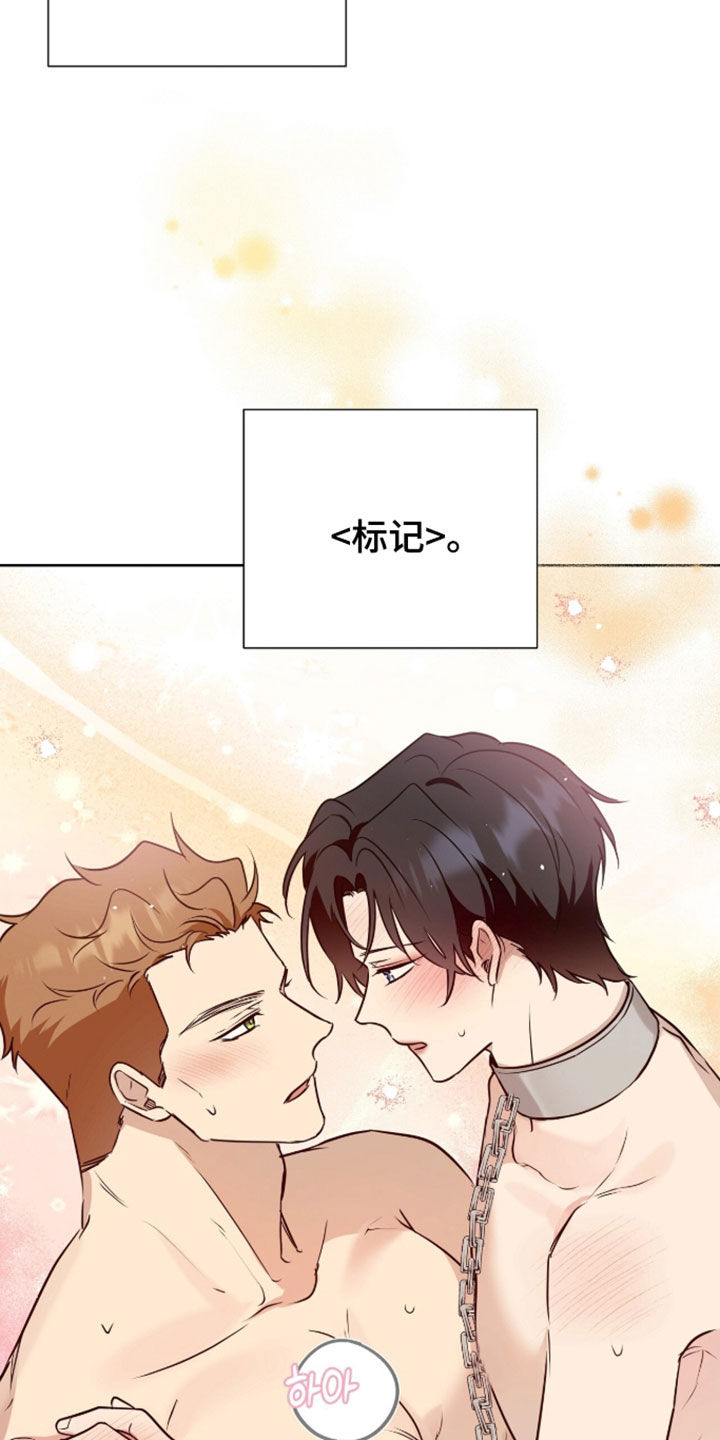 第120话5