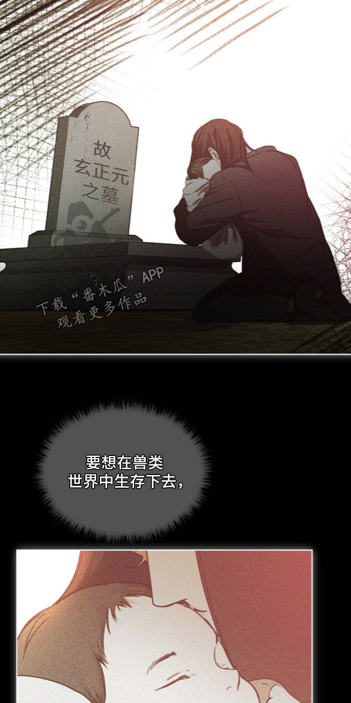 第285话7