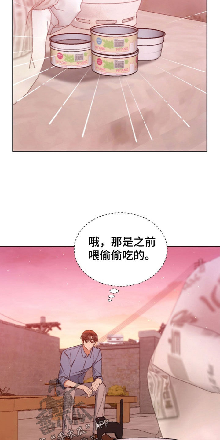 第67话11