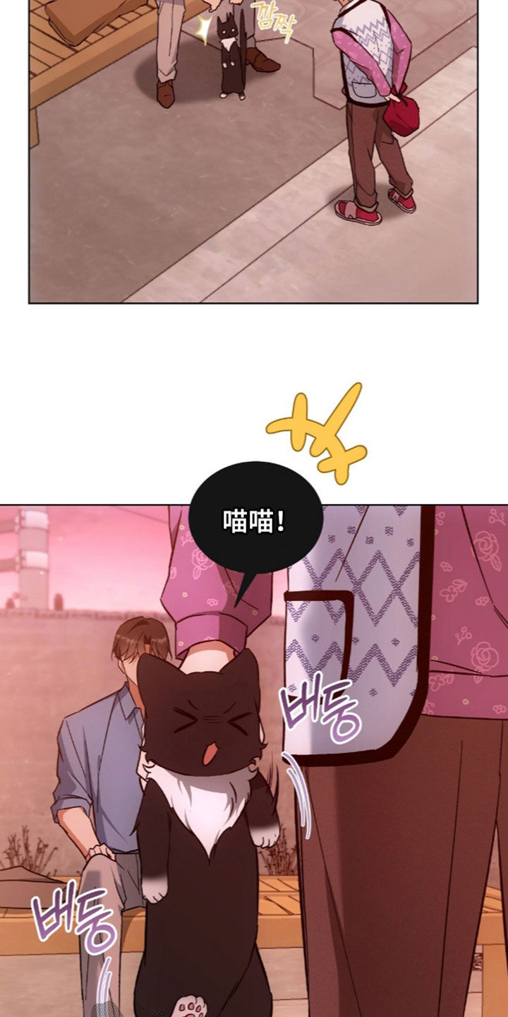 第67话16