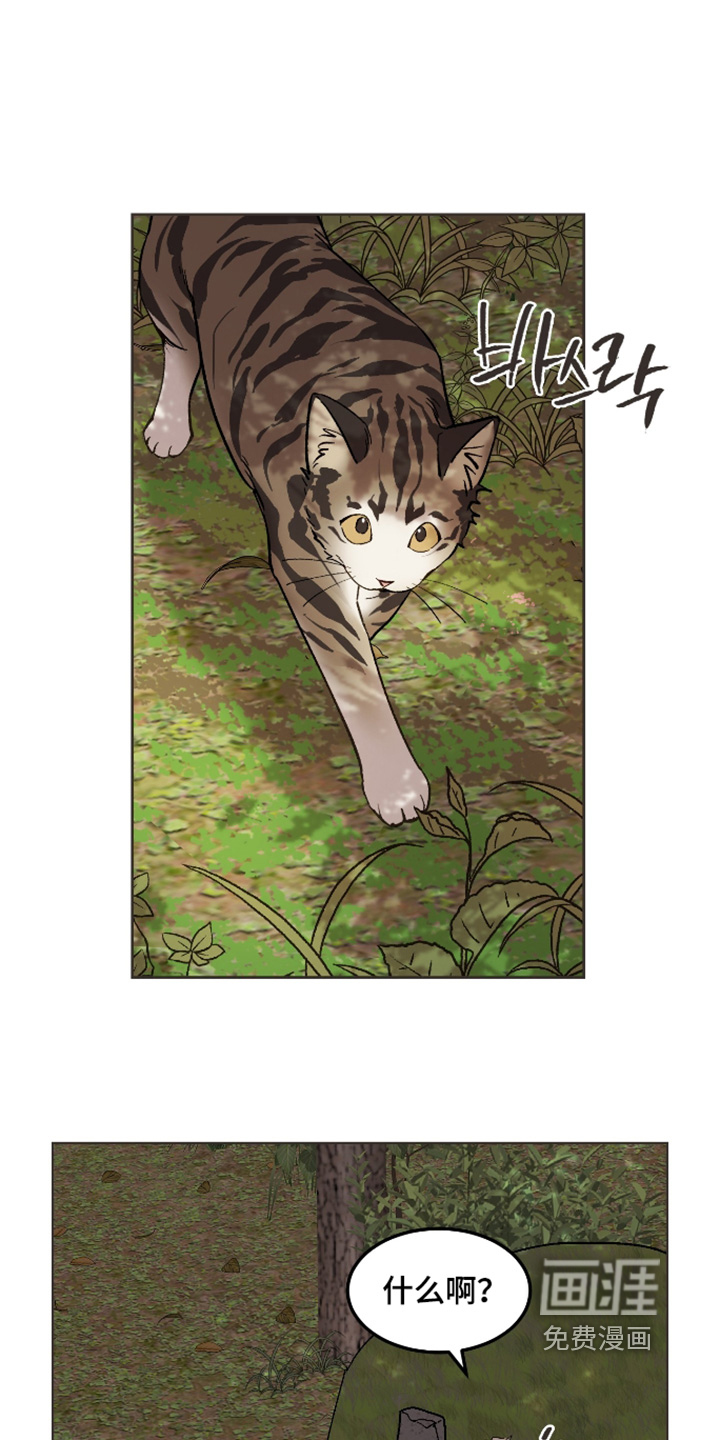 第69话0