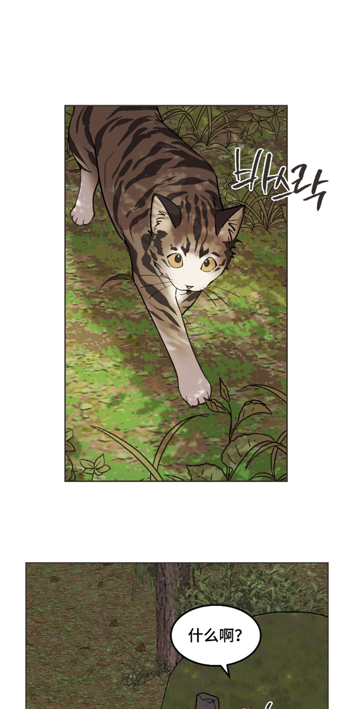 第77话0