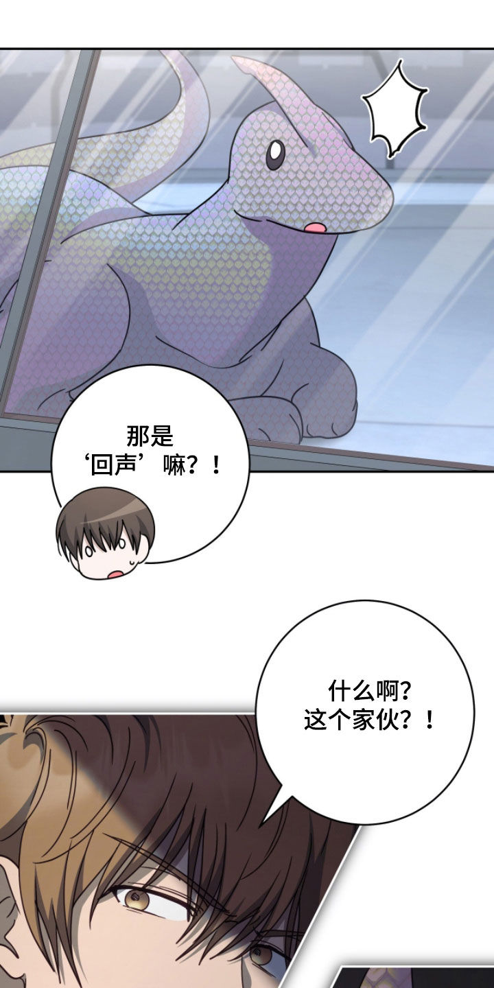 第118话25