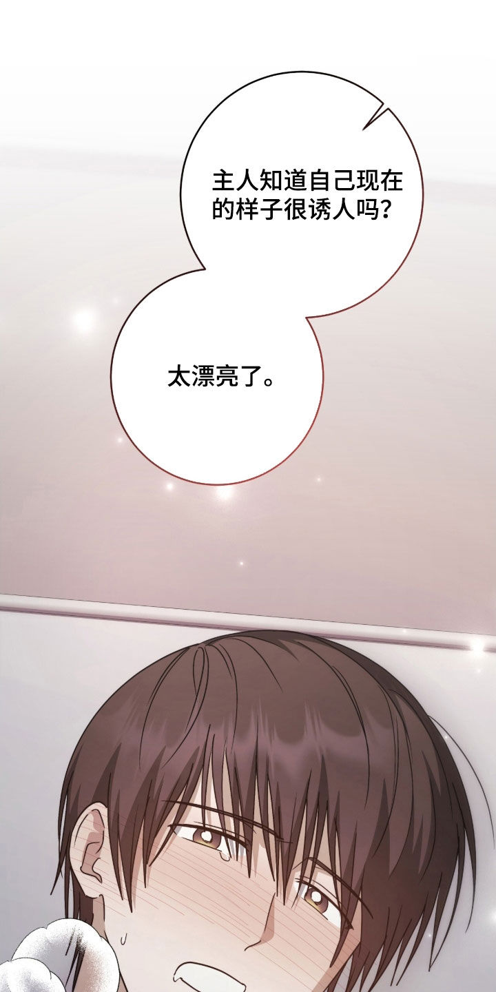 第114话4