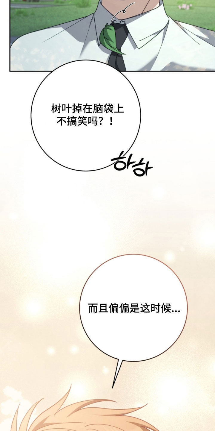 第112话11