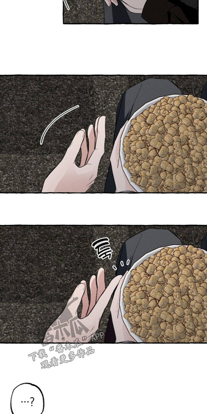 第66话5