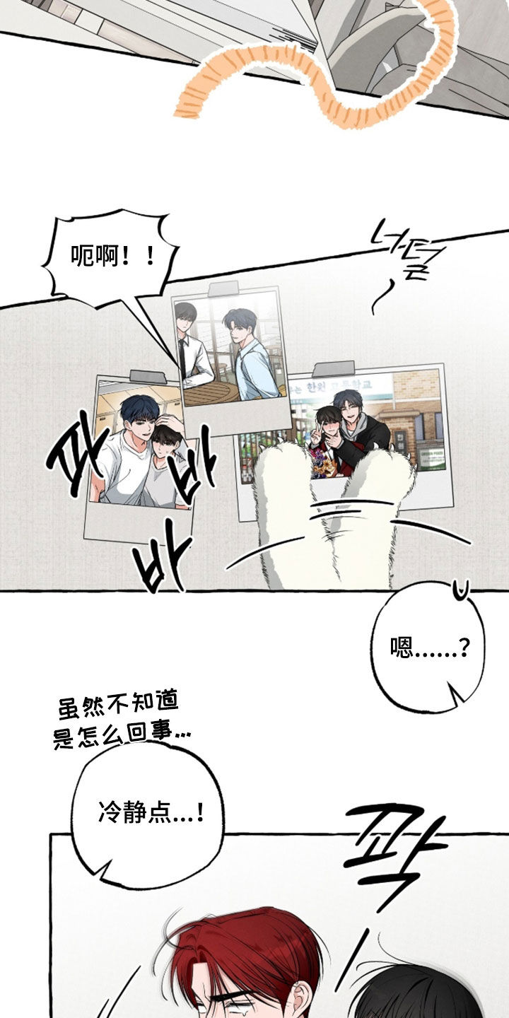 第55话12