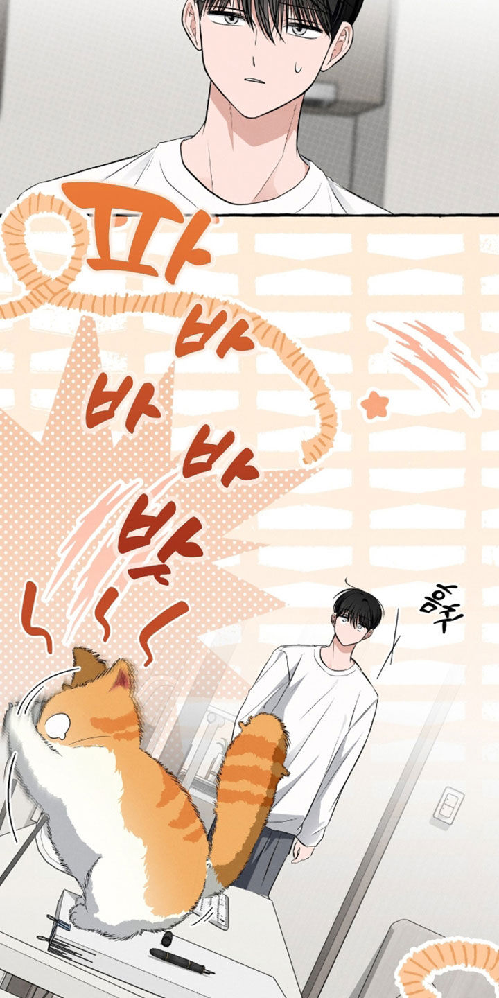 第55话11