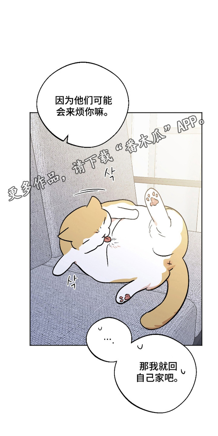 第119话25