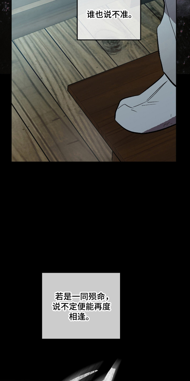 第118话23