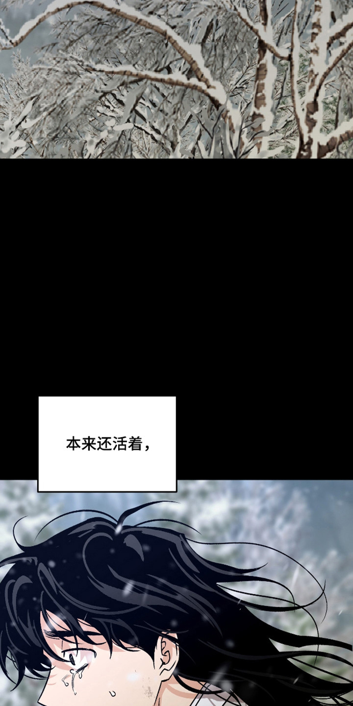 第117话5