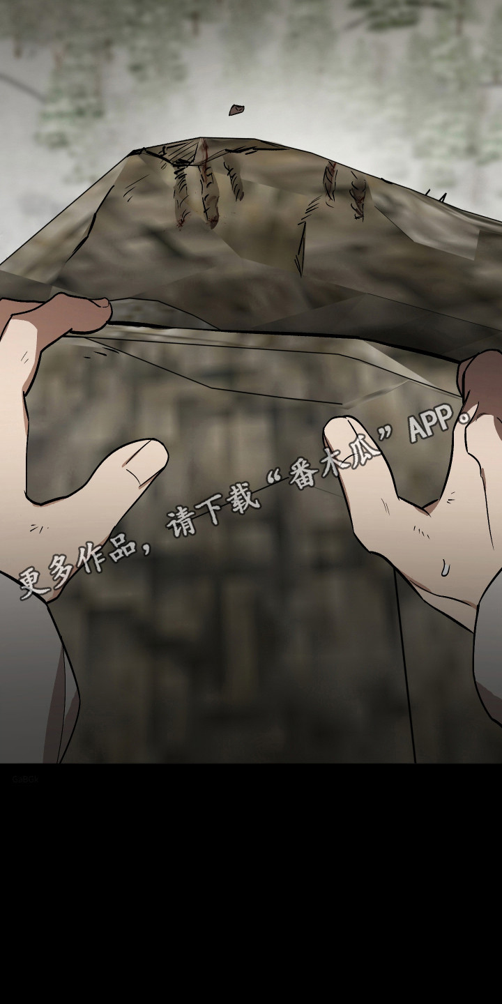 第115话30