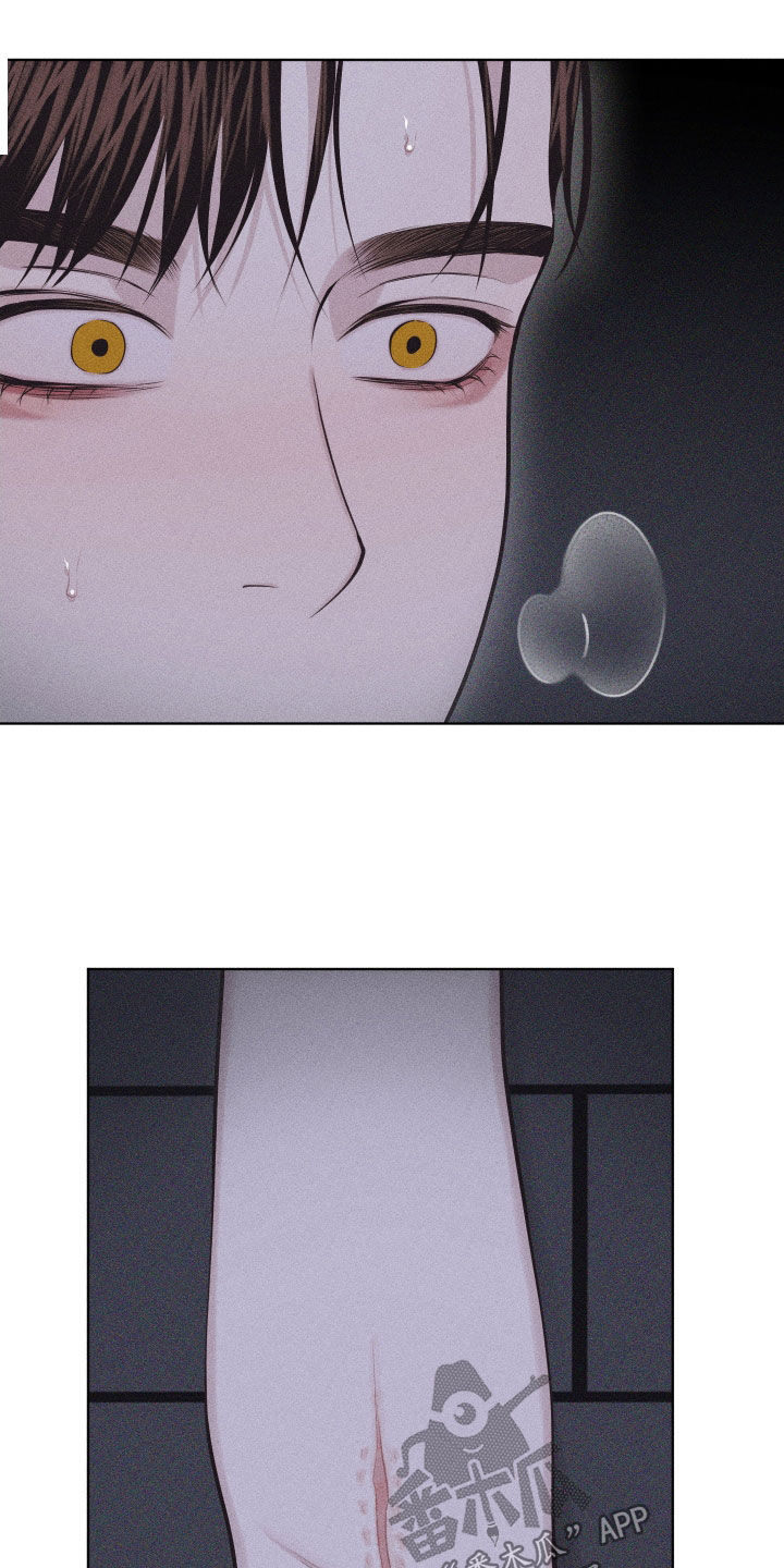 第126话8
