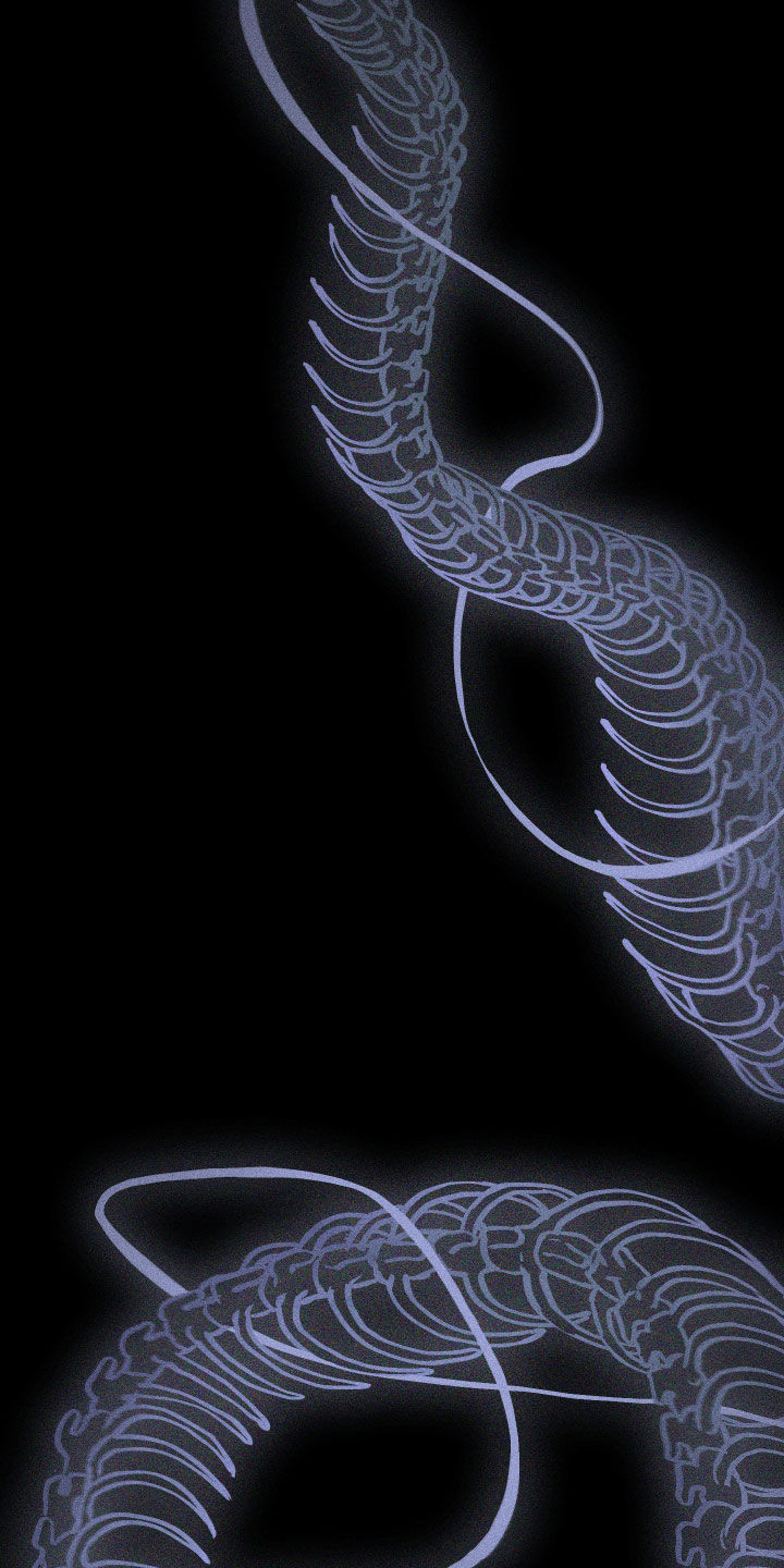 第109话2