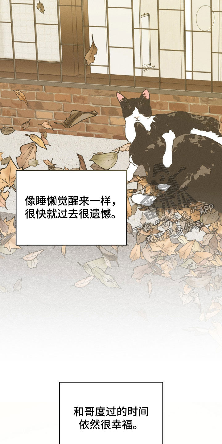 第170话26