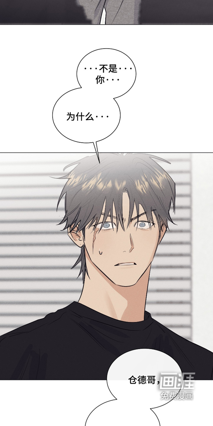 第49话17