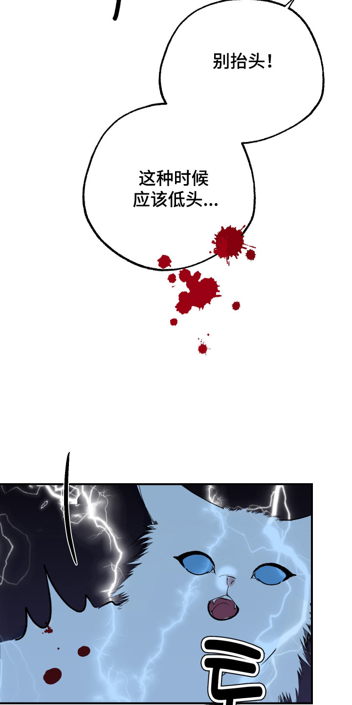 第53话11