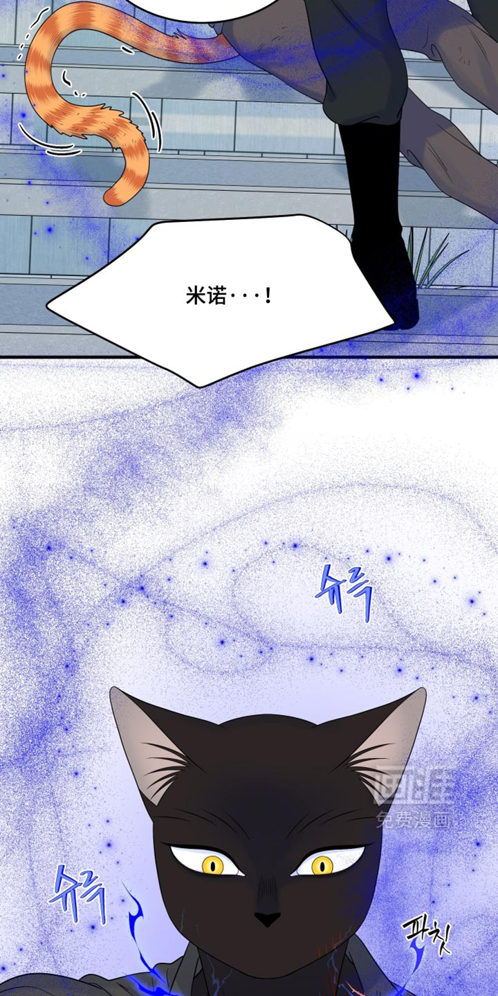 第212话6