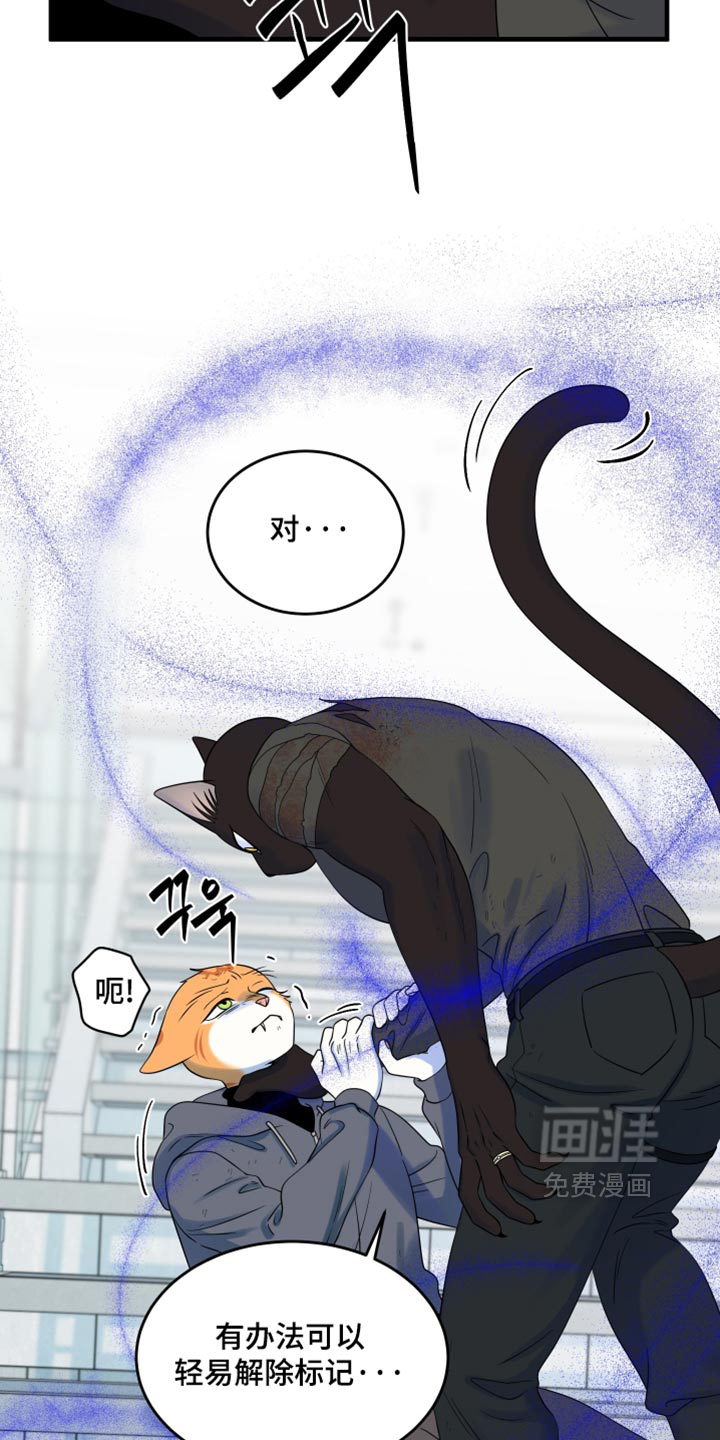 第212话5