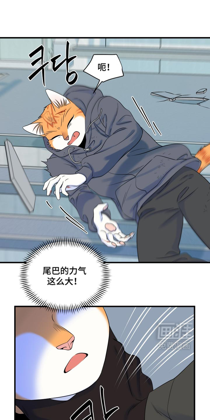 第212话4
