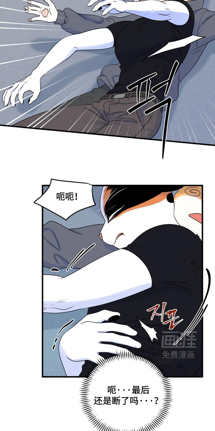 第212话12