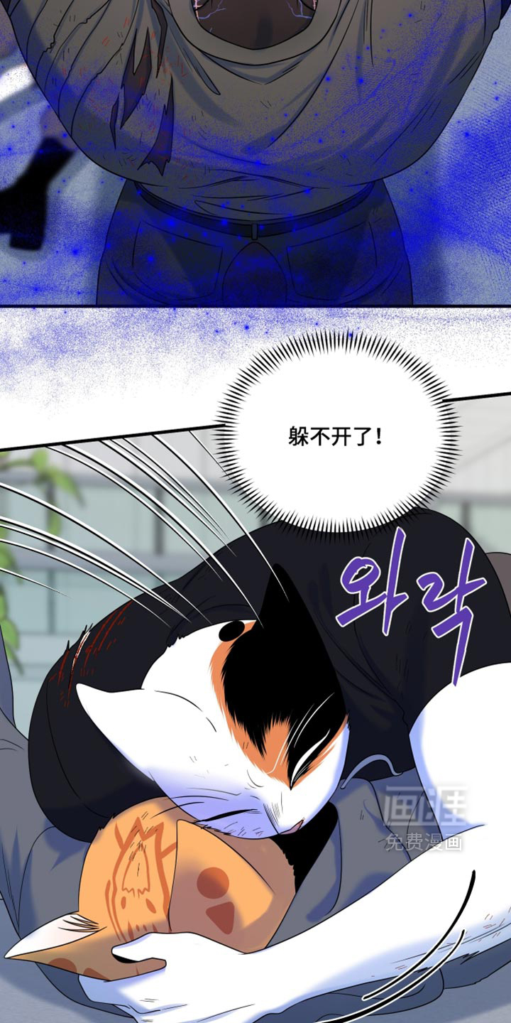 第212话14