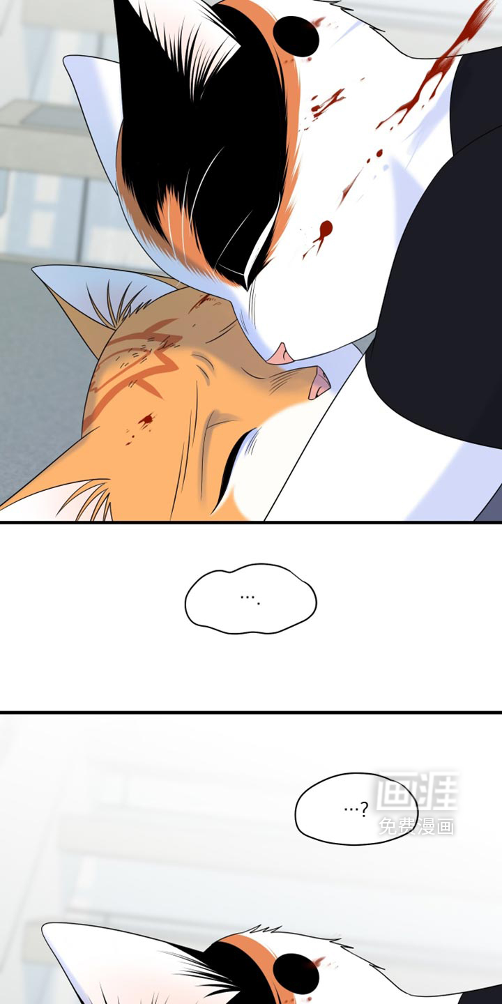 第212话18