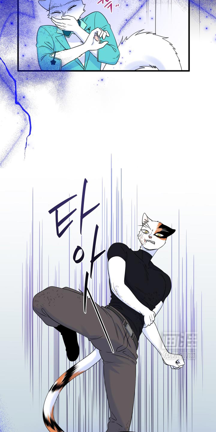 第212话9