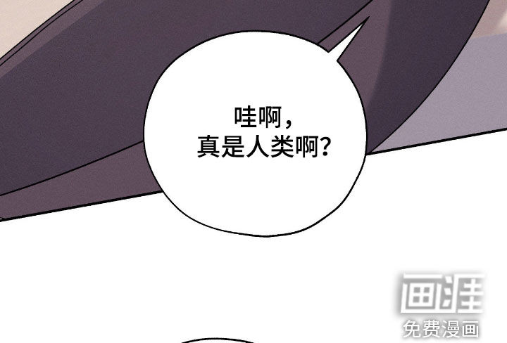 第55话12