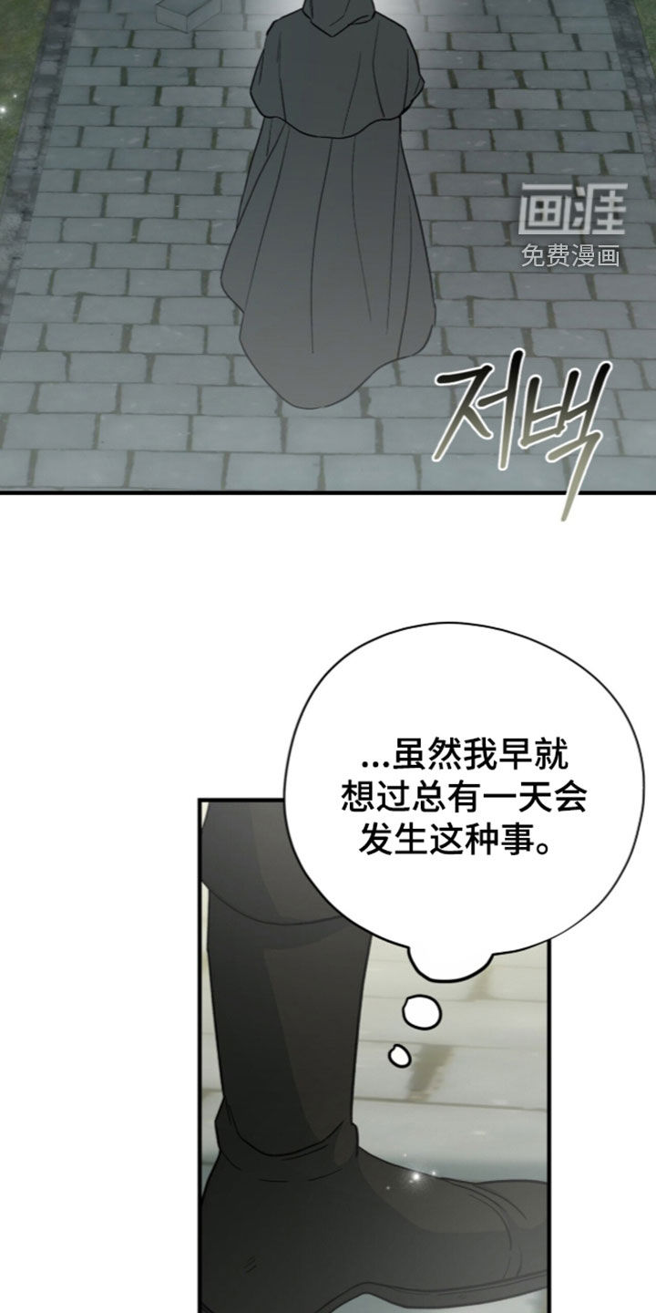 第112话17