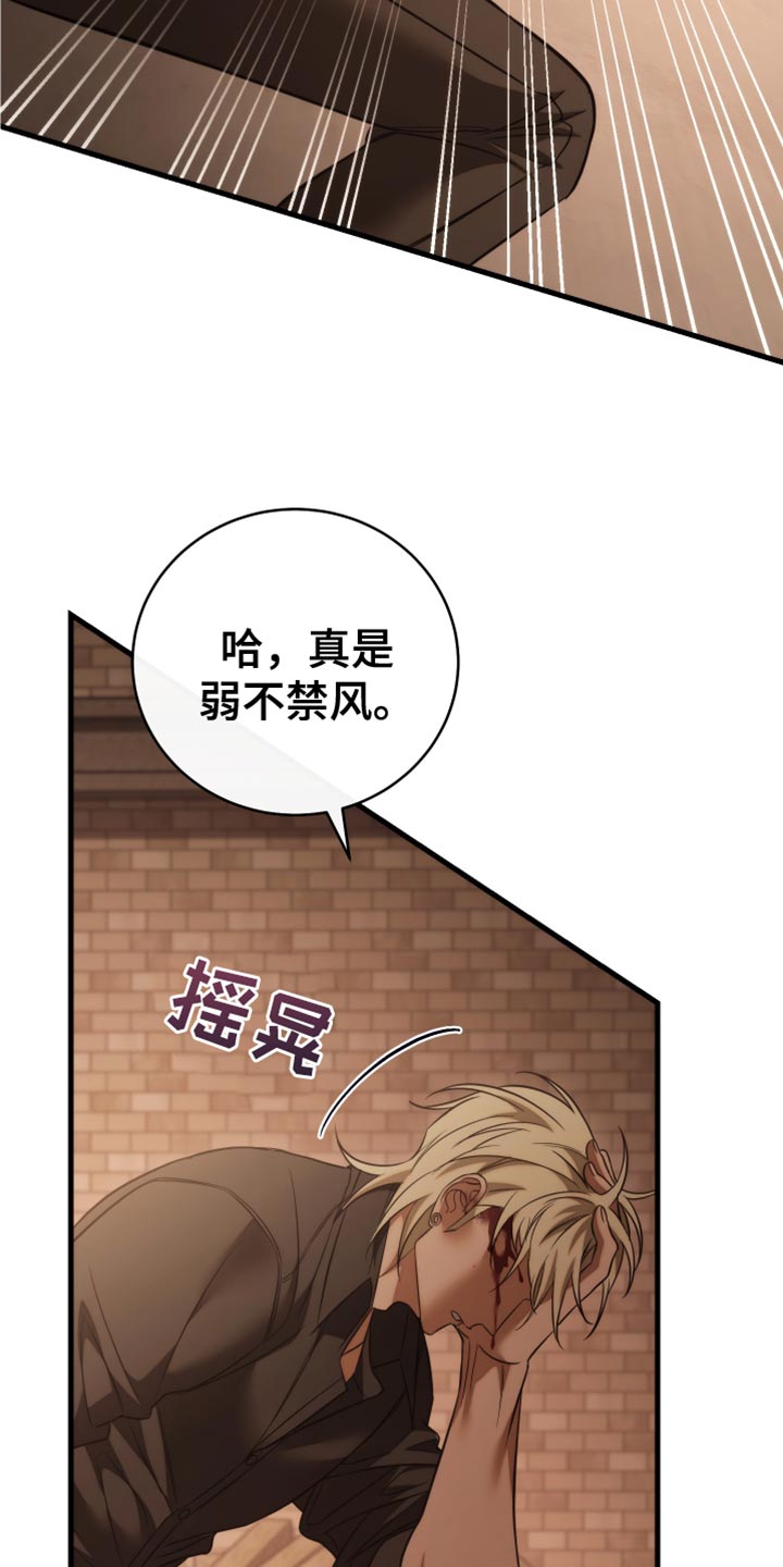 第120话11