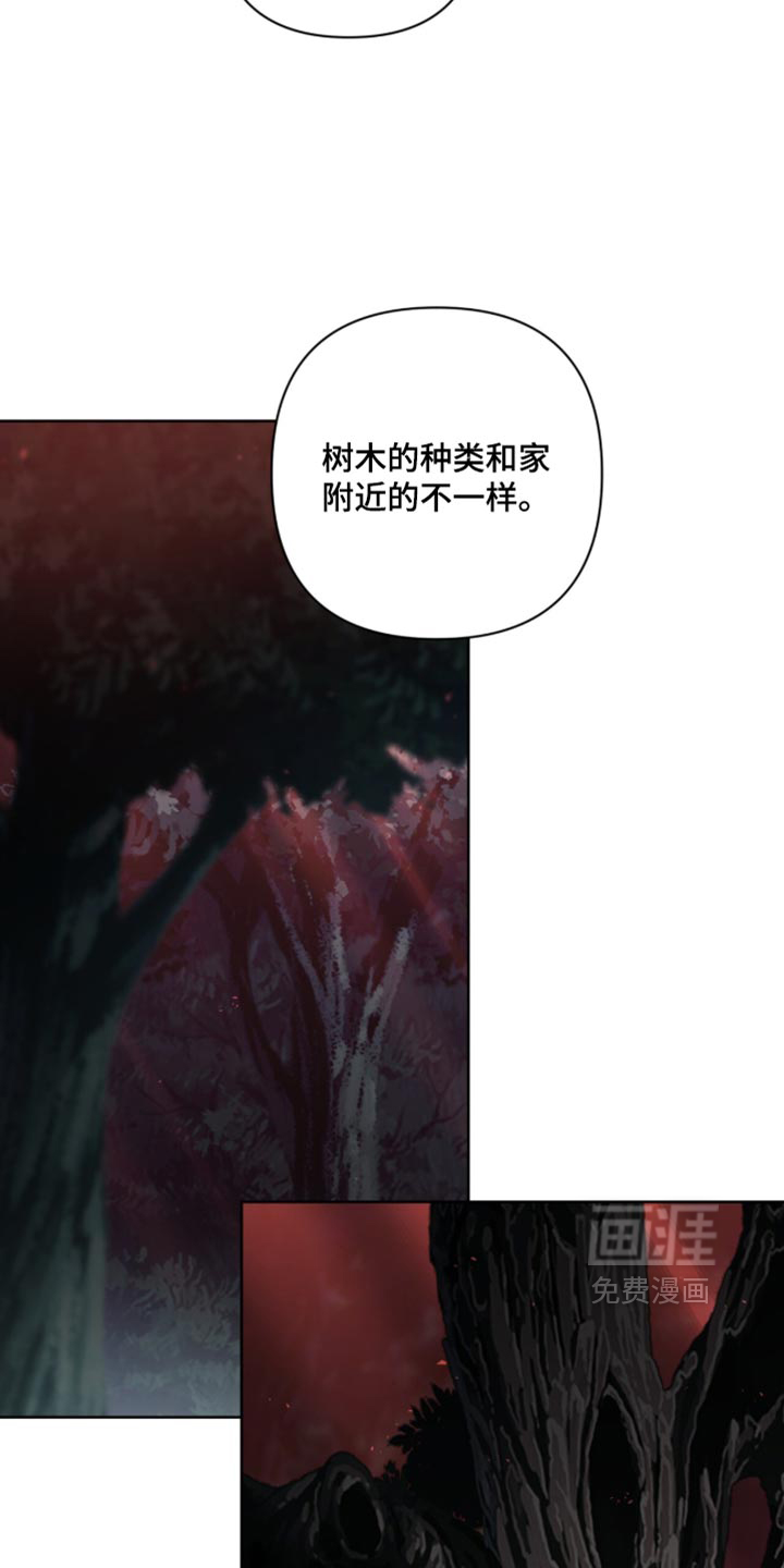 第41话30