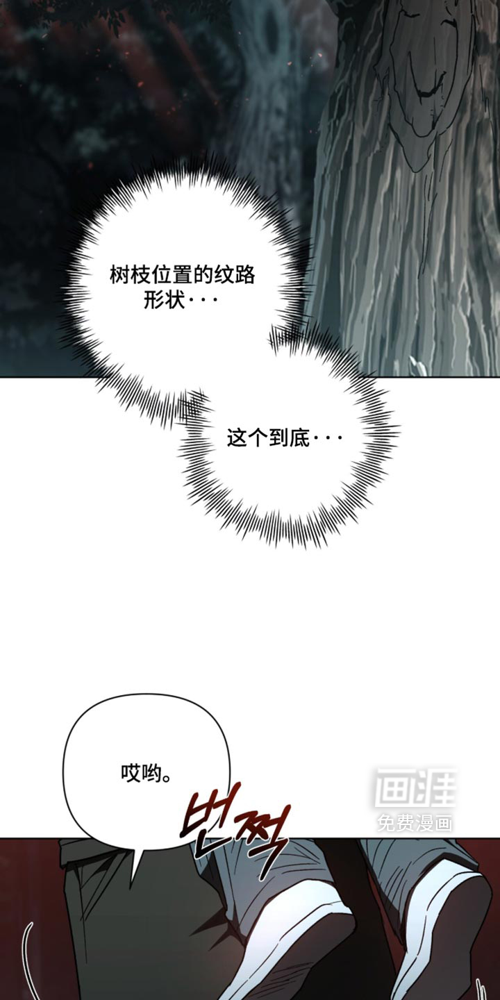 第41话33
